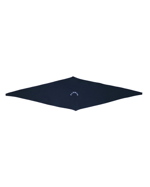 Navy blue umbrella on a white background